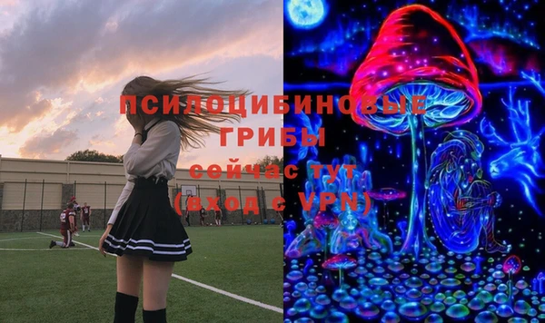 скорость Бородино