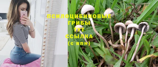 бутират Богданович