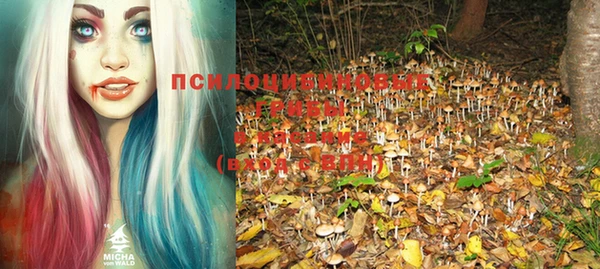ECSTASY Богородск