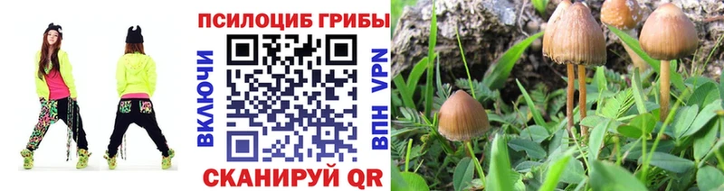Галлюциногенные грибы GOLDEN TEACHER Семилуки