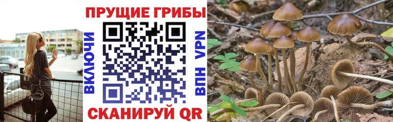 Псилоцибиновые грибы мухоморы  цены наркотик  Семилуки 